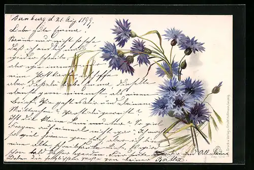 AK Kornblumen in Blüte