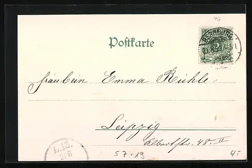 AK Kornblumen in Blüte