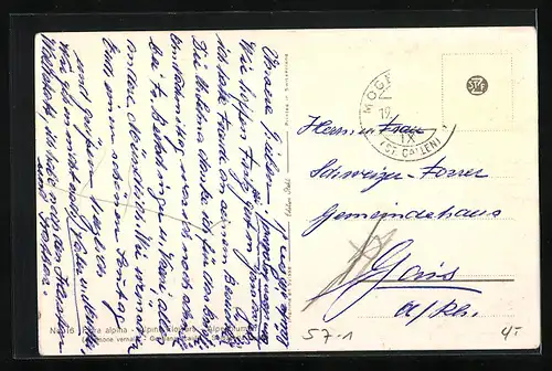 AK Bunte Blumen in Blüte