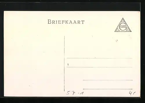 AK Agavensträucher auf einer Wiese