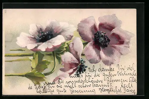 AK Rosa Blumen in Blüte