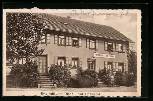 AK Trienz i. bad. Odenwald, Gasthaus und Pension zur Pfalz