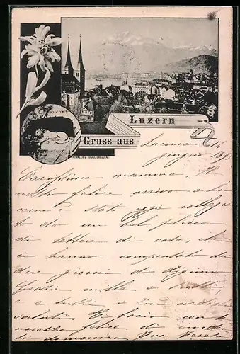 Vorläufer-AK Luzern, 1895, Teilansicht, Edelweiss, Liegender Löwe