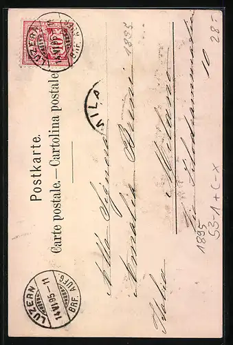 Vorläufer-AK Luzern, 1895, Teilansicht, Edelweiss, Liegender Löwe