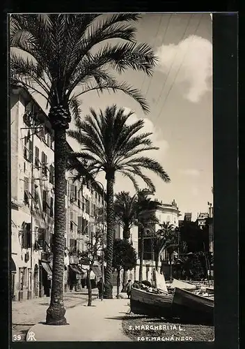 AK Santa Margherita, Strassenpartie mit Palmen