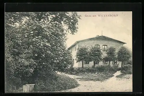 AK Wittenborn, Gebäudeansicht mit Bäumen