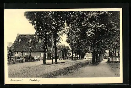 AK Bornhöved, Partie am Kuhberg