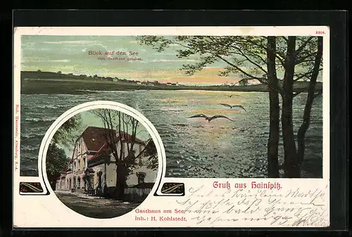 AK Hainspitz, Blick auf den See, Gasthaus am See Inh. H. Kohlstedt