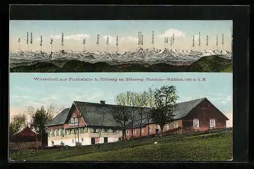 AK Triberg, Gasthaus zur Fuchsfalle am Höhenweg Pforzheim-Waldshut, Bergpanorama mit Pilatus, Rigi und Tödi