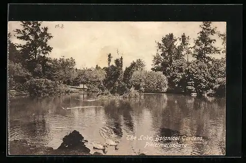 AK Pietermaritzburg, The Lake, Botanical Gardens