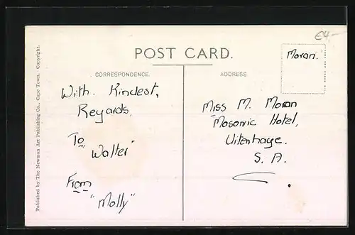 AK Port Elizabeth, View of Central City and Docks from Donkin Reserve