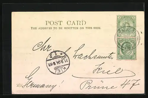 AK Cape Town, The Avenue