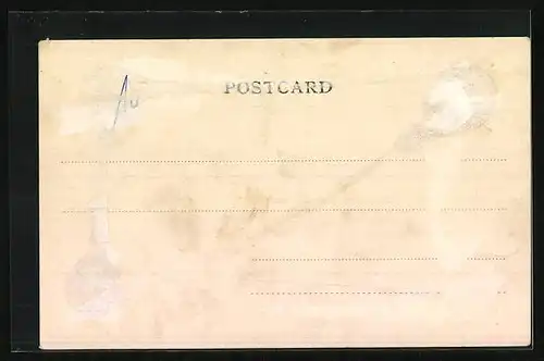 AK Port Said, Panorama