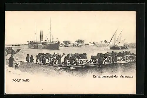 AK Port Said, Embarquement-des chameaux