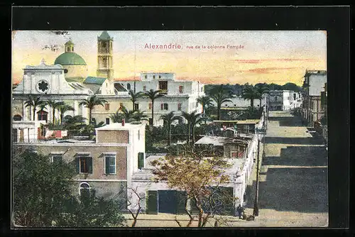 AK Alexandrie, Rue de la colonne Pompee