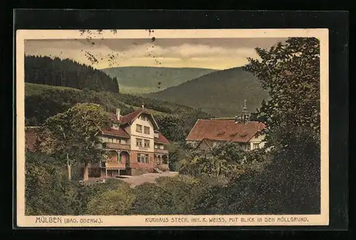 AK Mülben (Bad. Odenw.), Kurhaus Steck mit Blick in den Höllgrund
