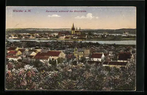 AK Werder a. H., Panorama während der Baumblüte
