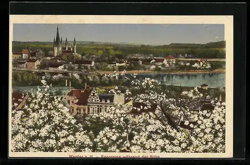 AK Werder a. H., Panorama während der Blüte