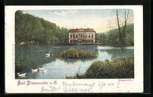 AK Bad Freienwalde a. O., Teichpartie mit Schwänen
