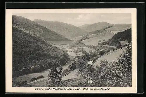 AK Nordenau i. Hochsauerland, Blick ins Nesselbachtal