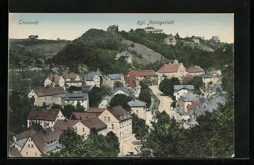 AK Tharandt, Kgl. Amtsgericht aus der Vogelschau