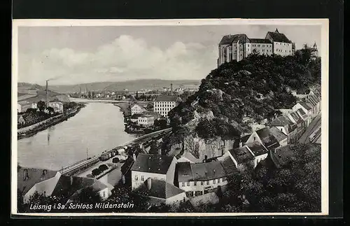 AK Leisnig i. Sa., Schloss Mildenstein am Fluss