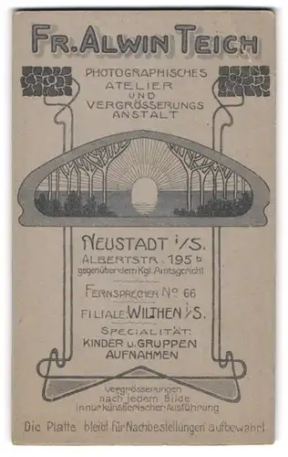 Fotografie Fr. Alwin Teich, Neustadt i. S., Albertstr. 195, Aufgehende Sonne im Jugendstil