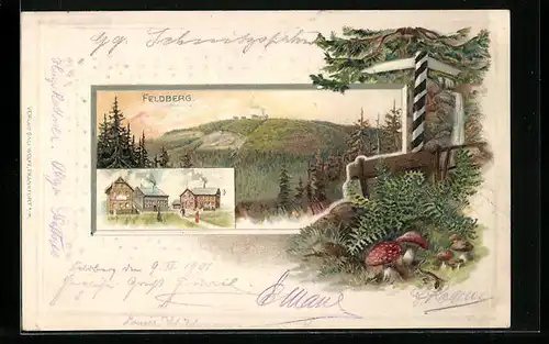 Präge-Lithographie Feldberg, Gesamtansicht, Gasthaus auf dem Gipfel, Pilze im Wald