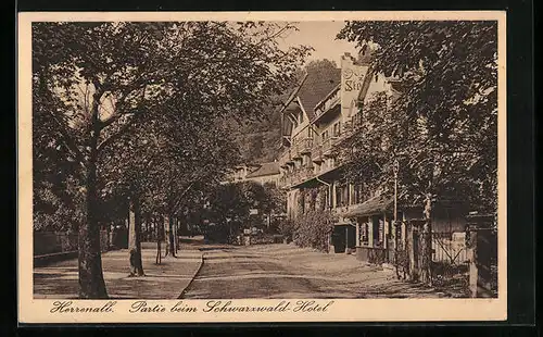 AK Herrenalb, Partie beim Schwarzwald-Hotel