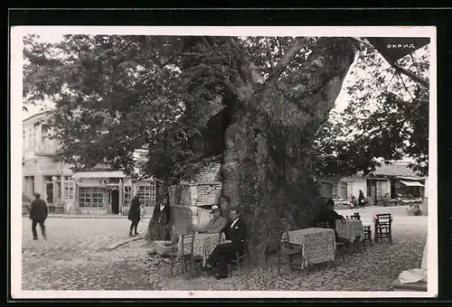 AK Ohrid, Strassenpartie mit einem Baum