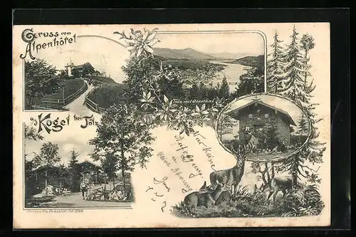 AK Kogel bei Tölz, Alpenhotel, Tölz mit Isarthal, Holzhütte