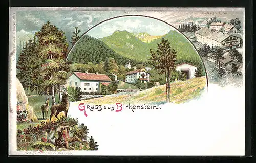 Lithographie Birkenstein, Gasthaus Schoher, Ortspartie, Hirsch und Reh