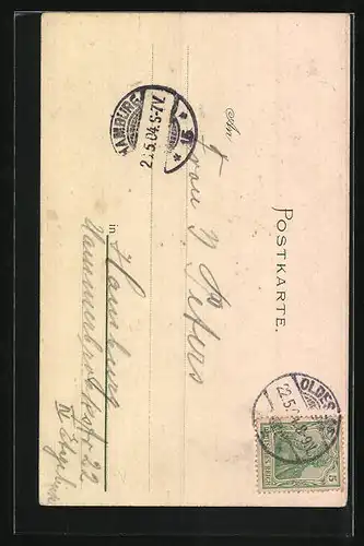 Lithographie Oldesloe in Holstein, Wandelbahn vom Thurm gesehen