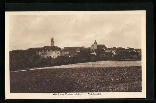 AK Frauenpriessnitz, Totalansicht der Ortschaft