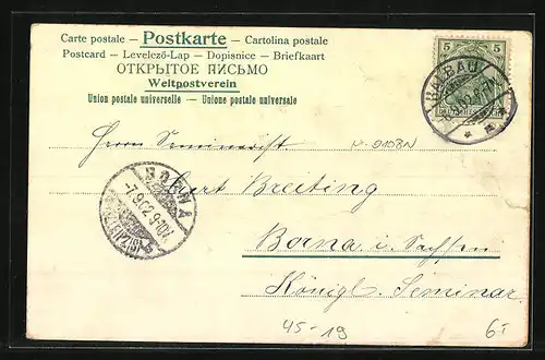 Lithographie Turner am Reck, Turner mit Fahne