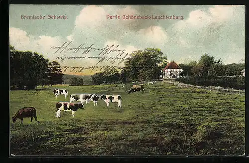 AK Schönebeck-Leuchtenburg, Weide mit Kühen und Fachwerkhaus