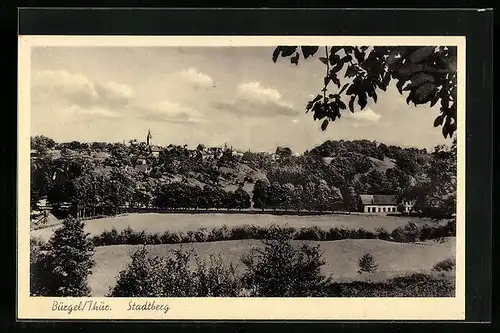 AK Bürgel /Thür., Blick auf den Stadtberg