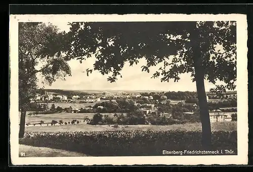 AK Eisenberg-Friedrichstanneck /Thür., Gesamtansicht aus der Vogelschau