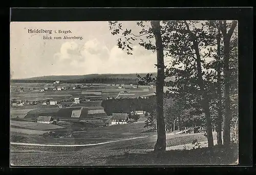 AK Heidelberg /Erzgeb., Blick vom Ahornberg