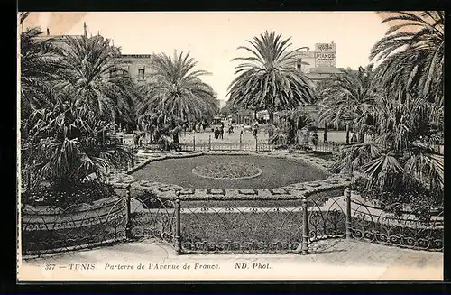 AK Tunis, Parterre de l`Avenue de France
