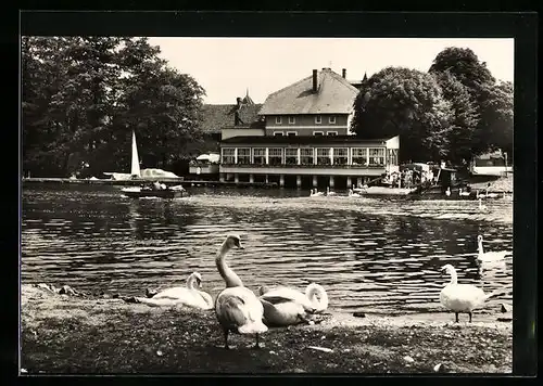 AK Caputh, Gaststätte und Café Fährhaus