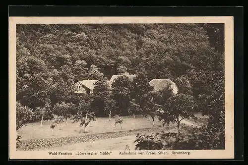 AK Stromberg (Soonwald), Wald-Pension Löwenzeiler Mühle