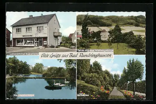 AK Bad Randringhausen, Lebensmittel Bekemeier, Fischteichanlage, Parkallee