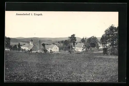AK Ammelsdorf i. Erzgeb., Ortspartie