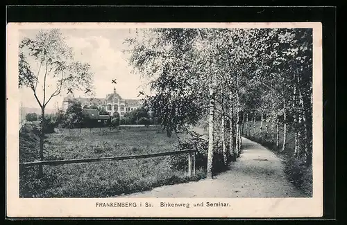 AK Frankenberg i. Sa., Birkenweg und Blick zum Seminar
