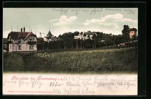 AK Frankenberg i. Sa., Villen an der Sommerfrische Lützelhöhe