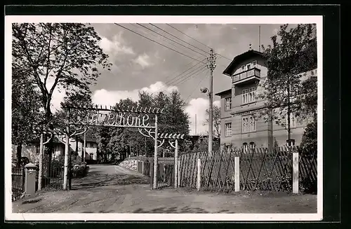 AK Frankenberg i. Sa., Zugang zum Gasthof und Sommerfrische Lützelhöhe
