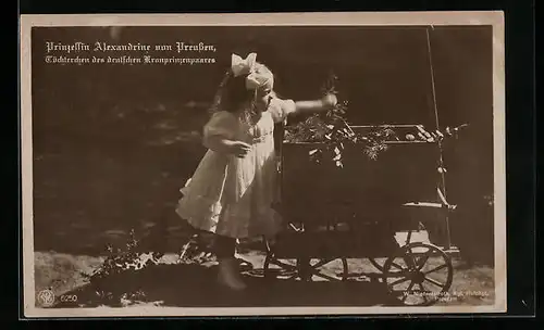 AK Prinzessin Alexandrine von Preussen