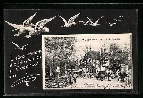 AK Chemnitz, an der Waldschänke im Zeissigwalde, Brieftauben