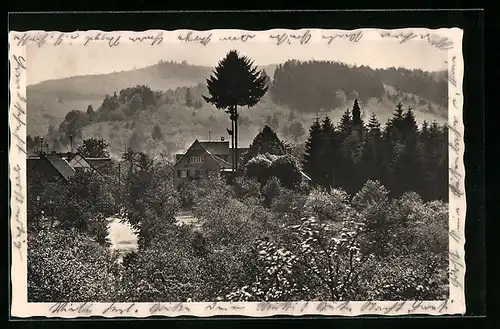 AK Oedsbach b. Oberkirch i. Renchtal, Gasthof und Pension zum Grünen Baum